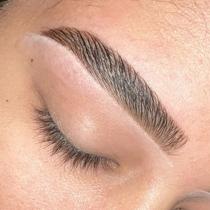 Laminado de cejas